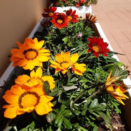 La Terrazza Sul Mare Apartament *